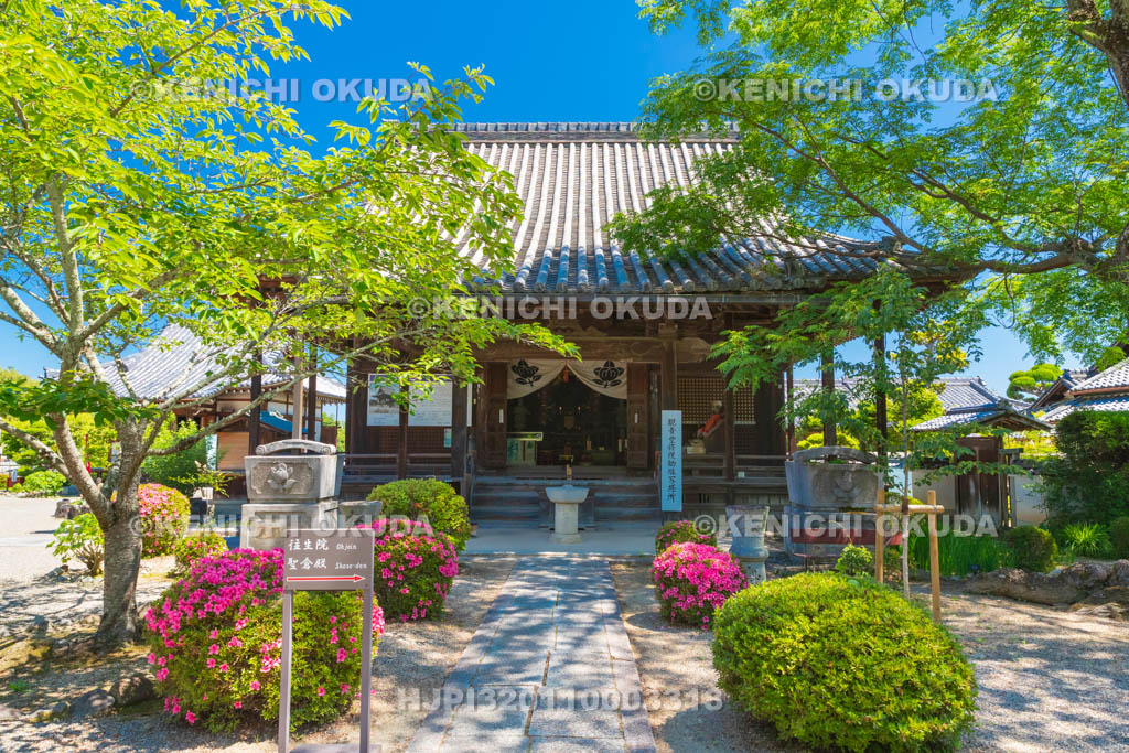 奈良県　明日香村　橘寺　観音堂