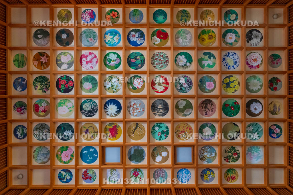 奈良県　明日香村　橘寺　往生院の天井画