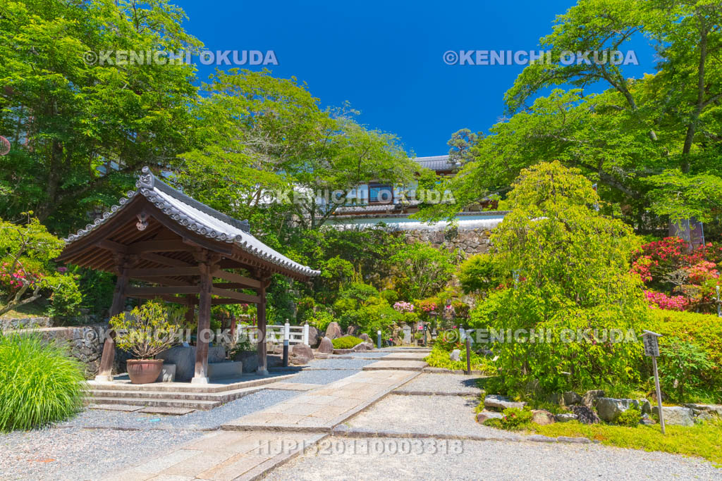 奈良県 明日香村 岡寺 手水舎付近
