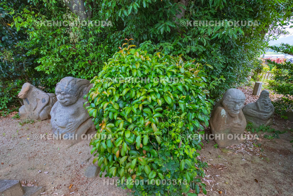奈良県 明日香村 吉備姫王墓(檜隈墓) 猿石