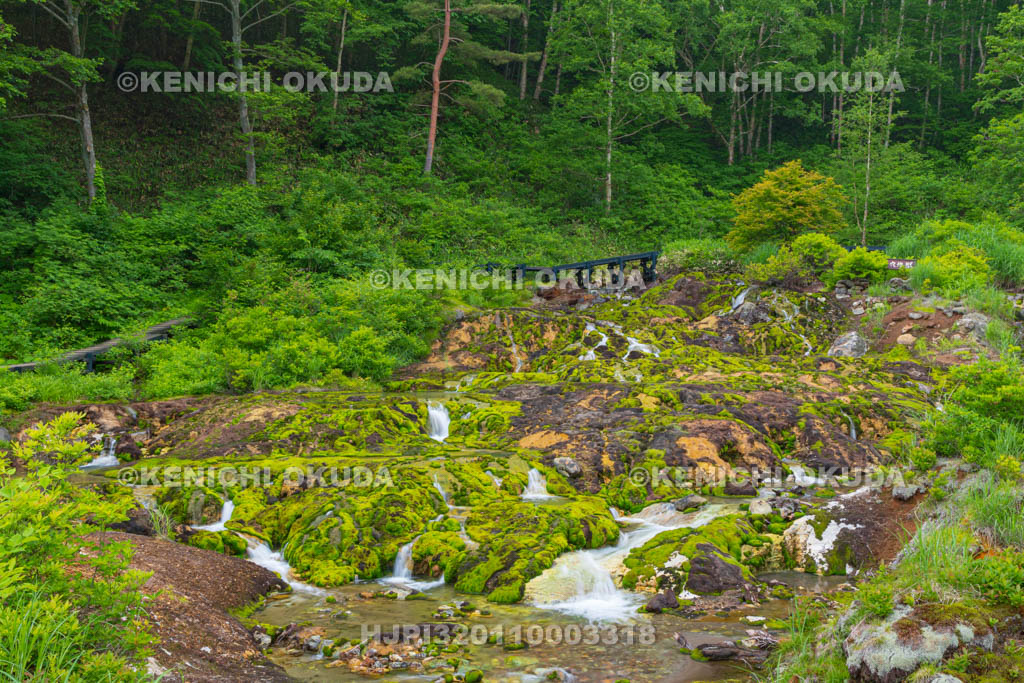 群馬県　チャツボミゴケ公園　穴地獄