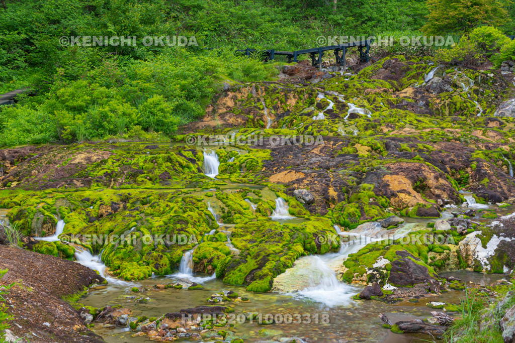 群馬県　チャツボミゴケ公園　穴地獄