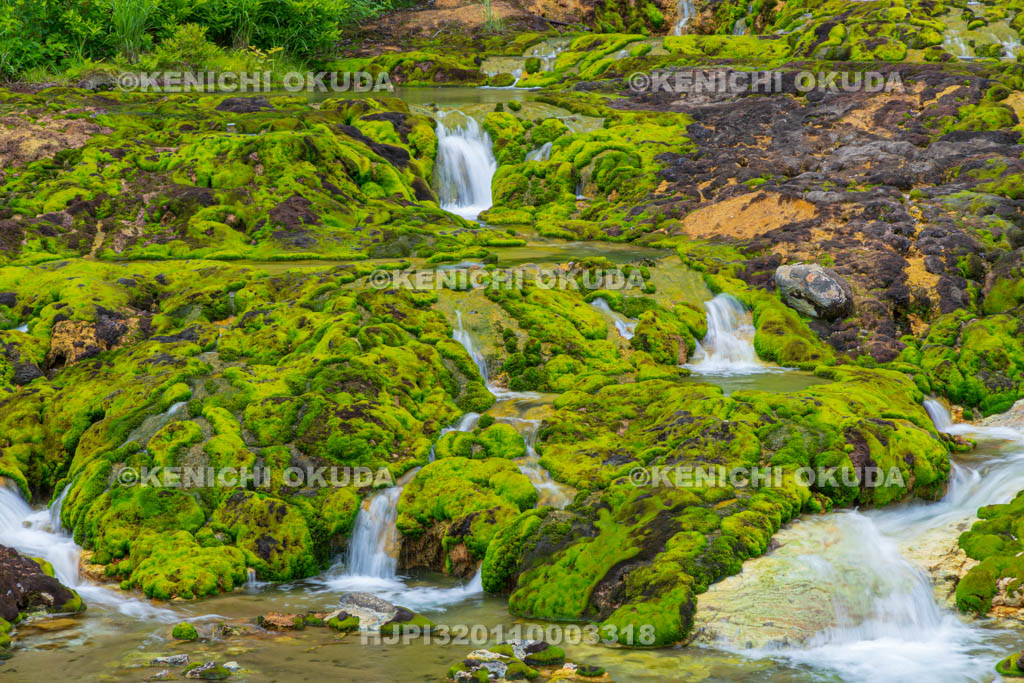 群馬県　チャツボミゴケ公園　穴地獄