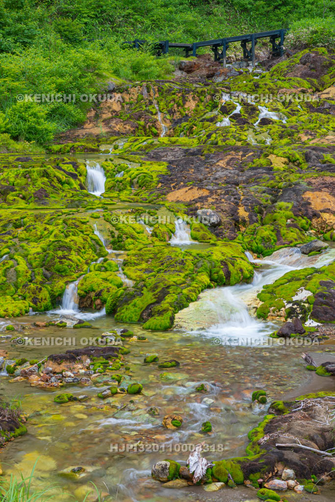 群馬県　チャツボミゴケ公園　穴地獄