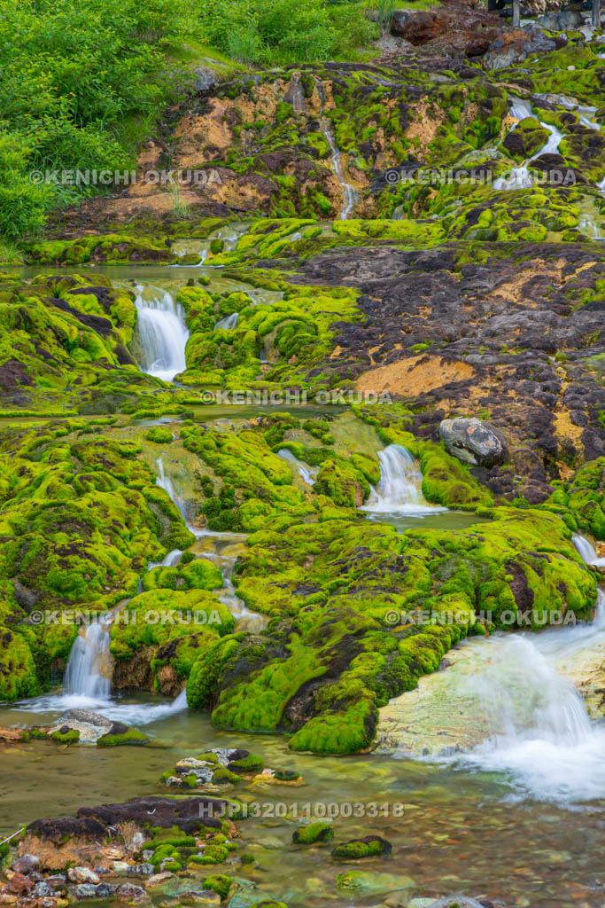 群馬県　チャツボミゴケ公園　穴地獄