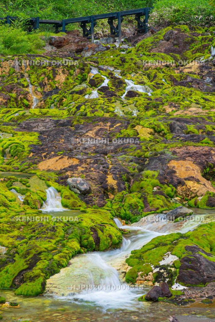 群馬県　チャツボミゴケ公園　穴地獄