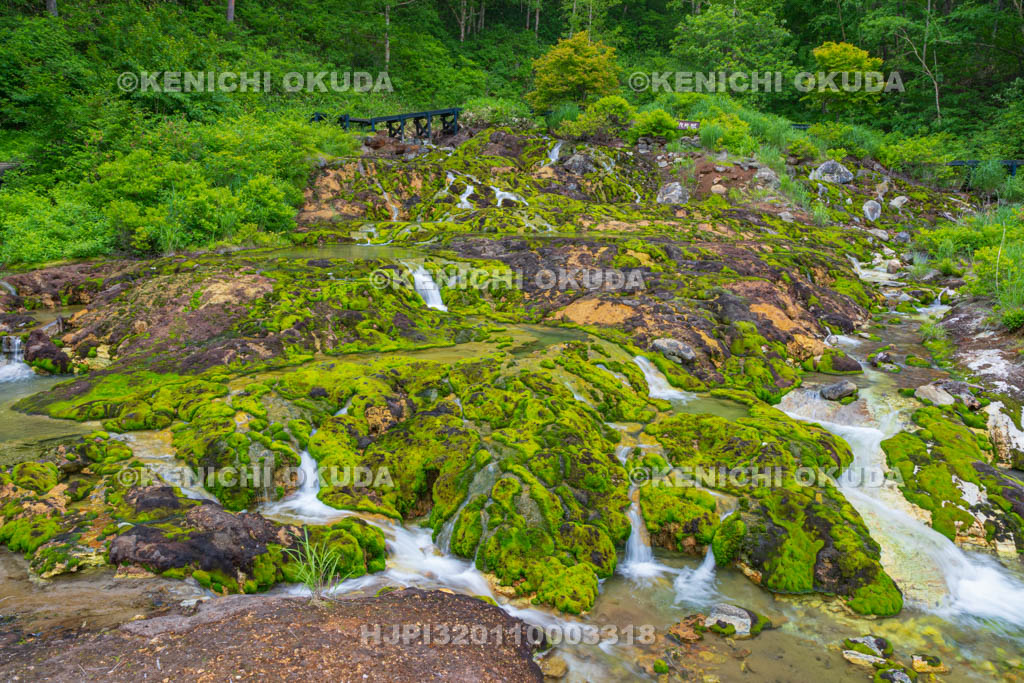 群馬県　チャツボミゴケ公園　穴地獄