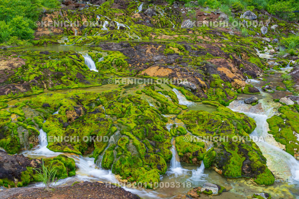 群馬県　チャツボミゴケ公園　穴地獄