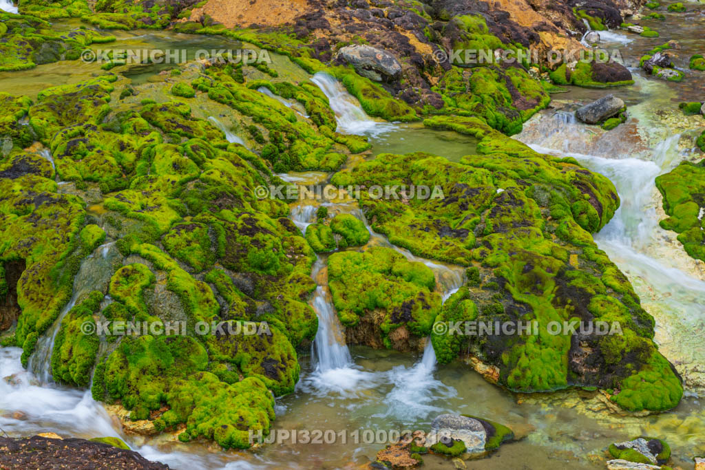群馬県　チャツボミゴケ公園　穴地獄