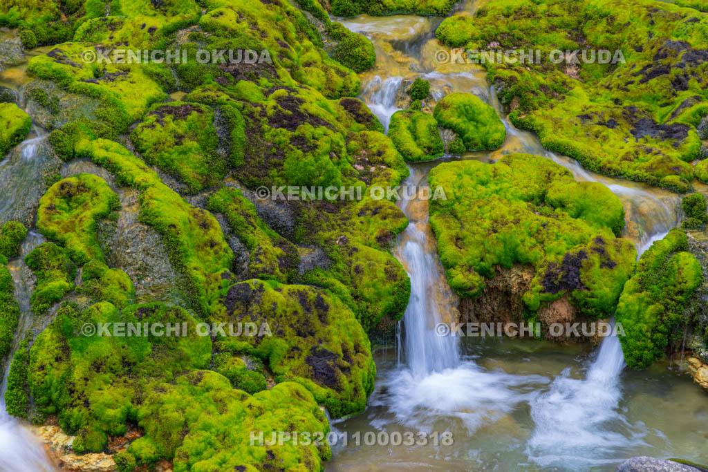 群馬県　チャツボミゴケ公園　穴地獄