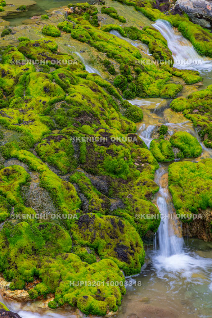 群馬県　チャツボミゴケ公園　穴地獄
