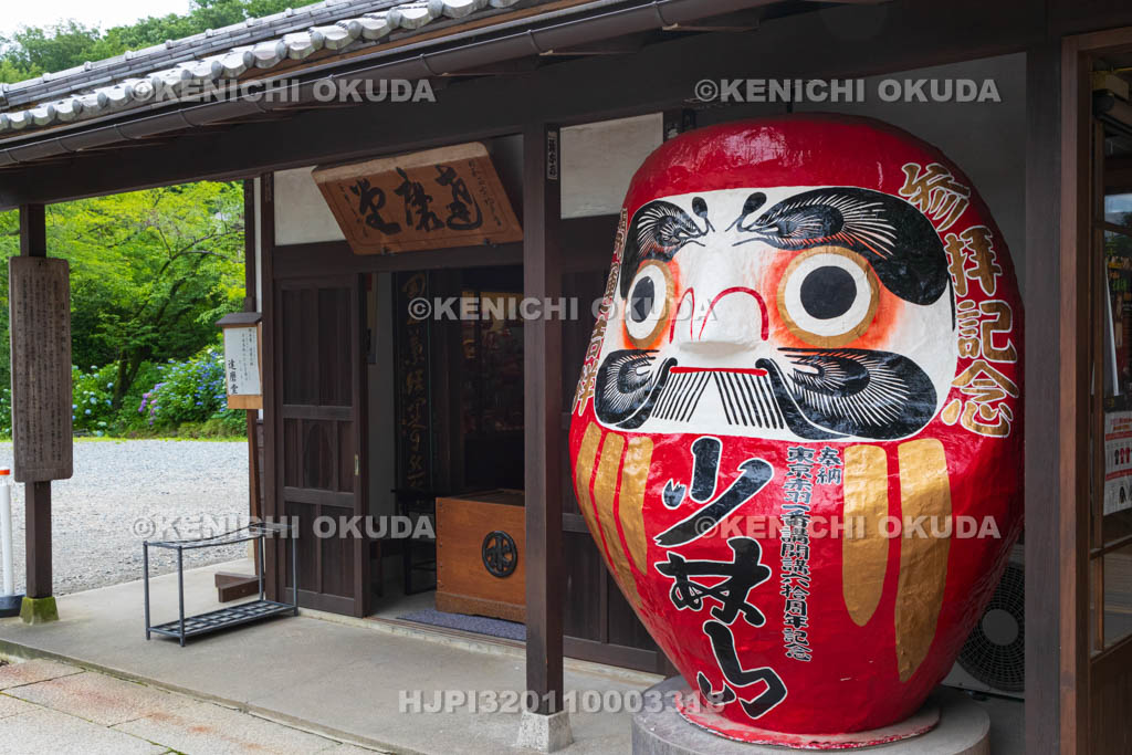 群馬県　達磨寺　達磨堂のダルマ