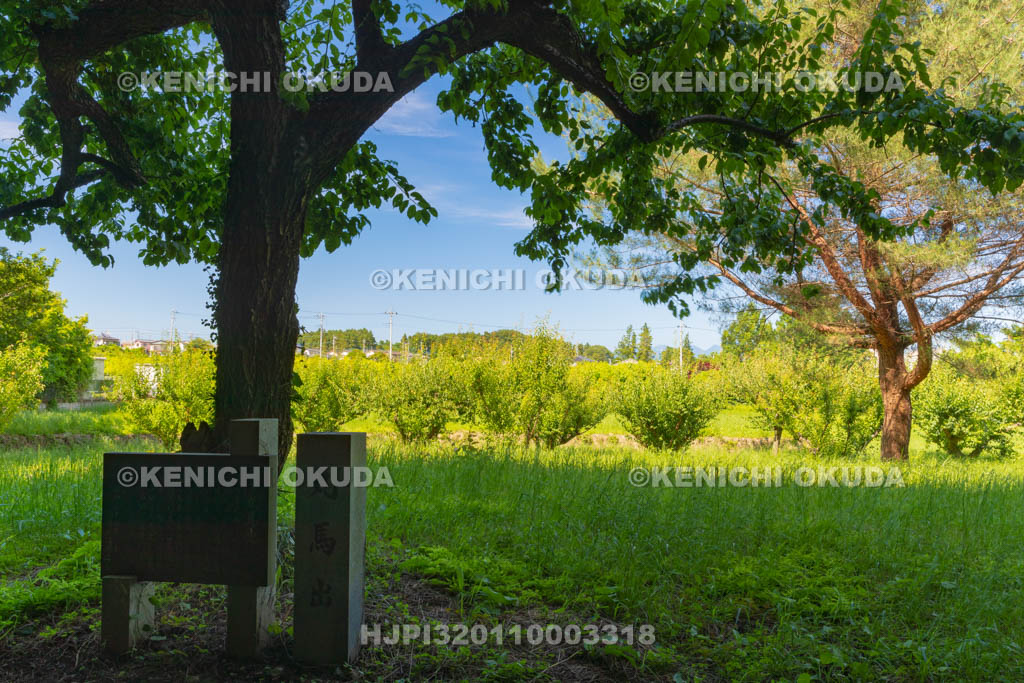 群馬県　箕輪城　丸馬出