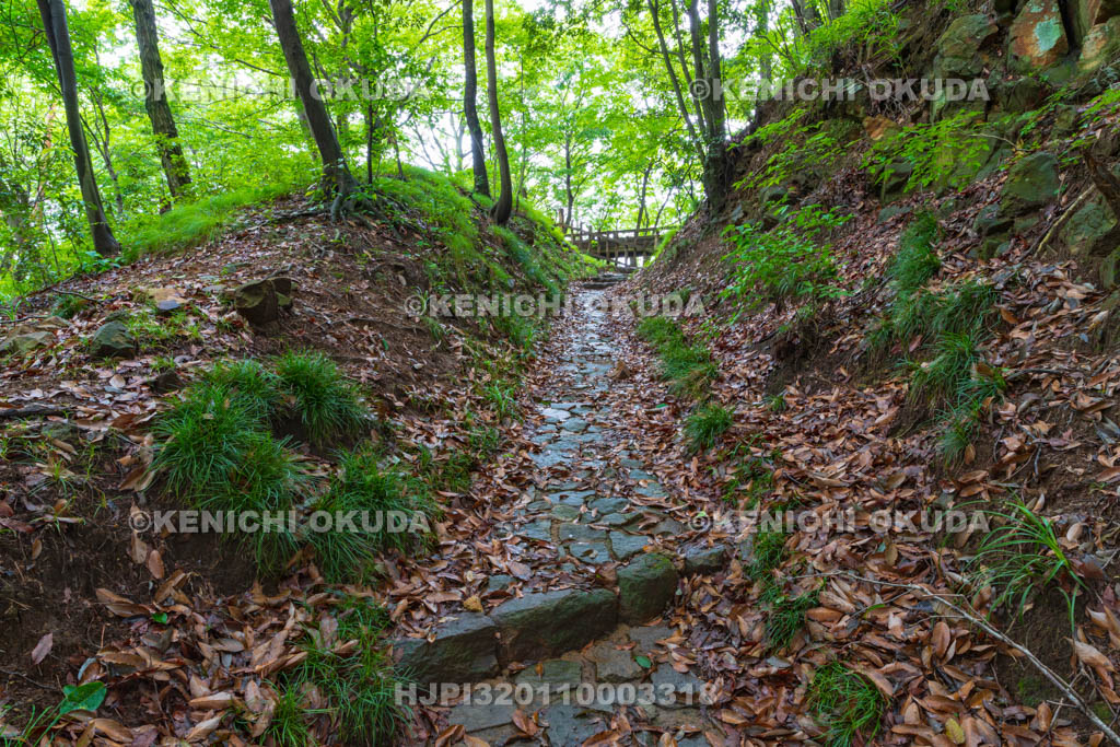 群馬県　金山城跡　西矢倉台西堀切