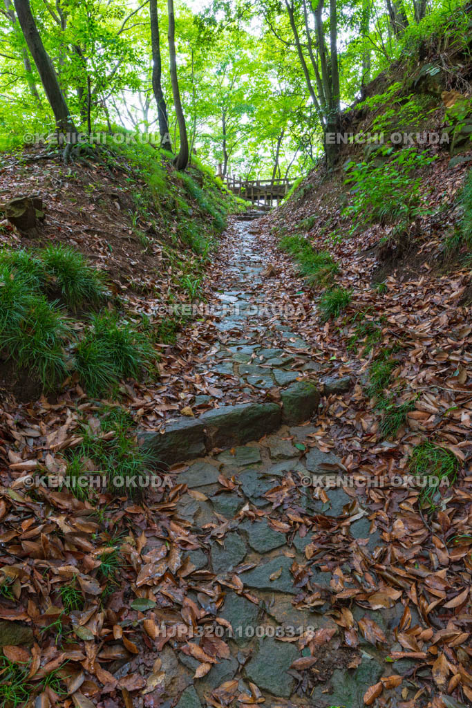 群馬県　金山城跡　西矢倉台西堀切