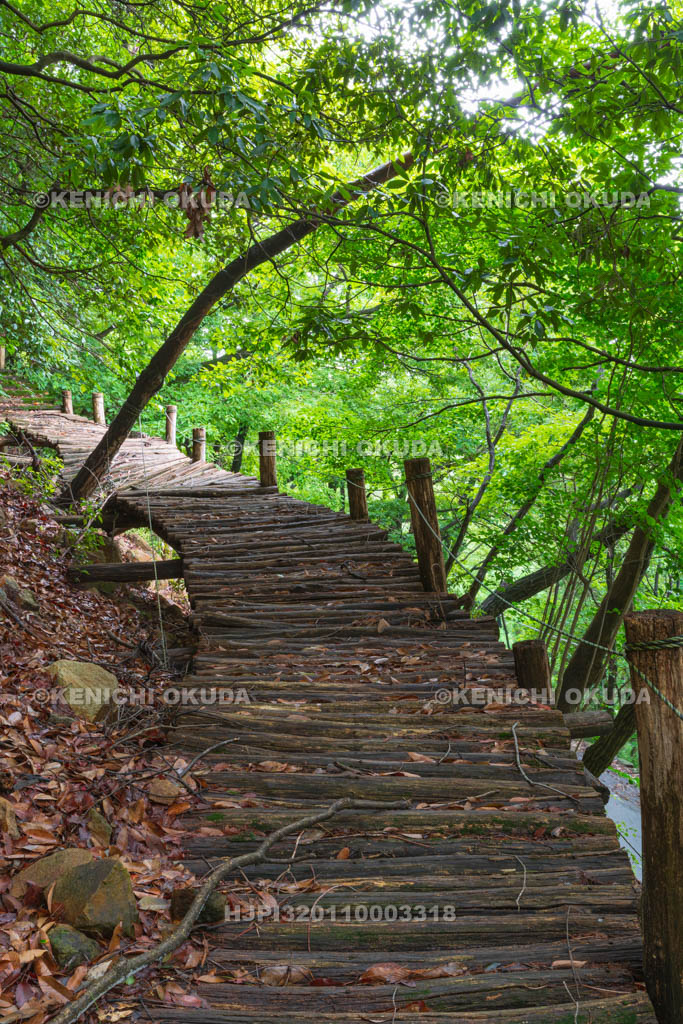 群馬県　金山城跡　桟道