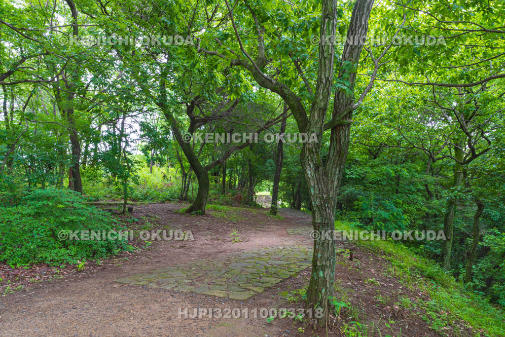 群馬県　金山城跡　西矢倉台通路