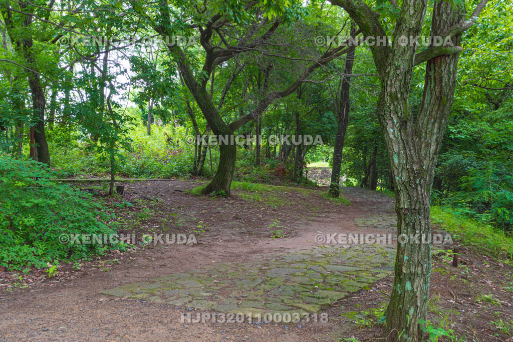 群馬県　金山城跡　西矢倉台通路