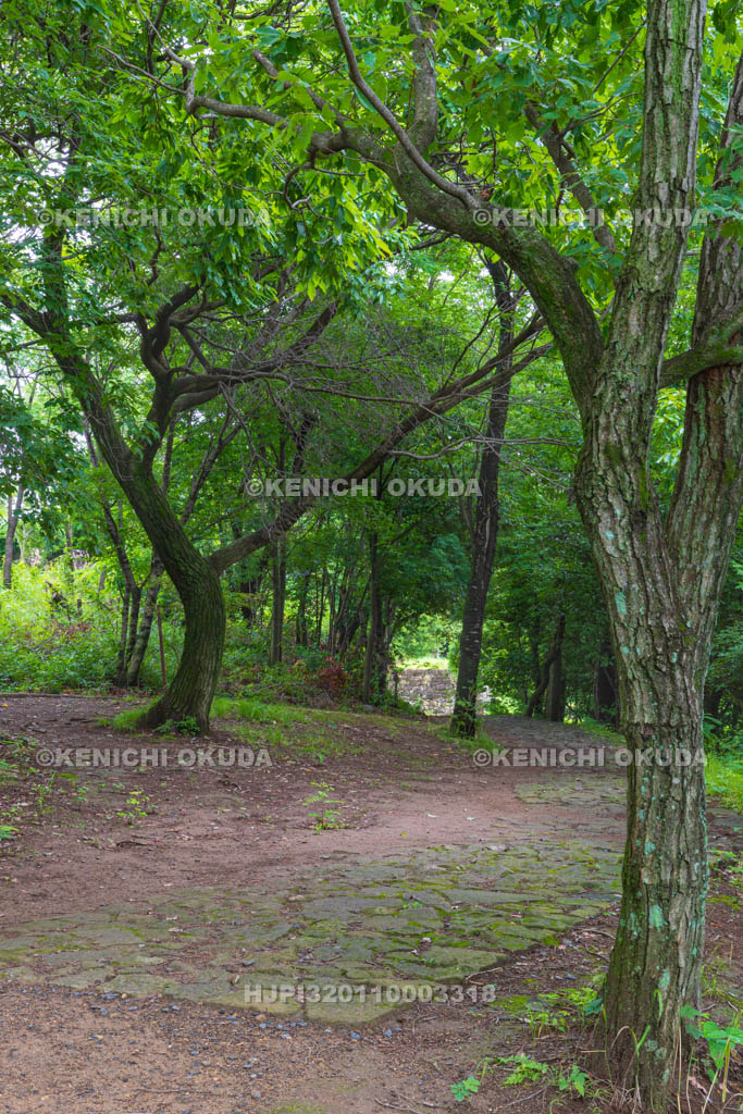 群馬県　金山城跡　西矢倉台通路