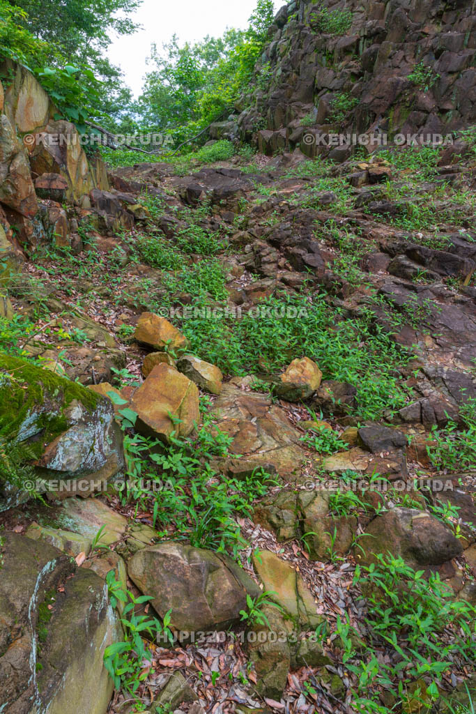 群馬県　金山城跡　物見台下堀切