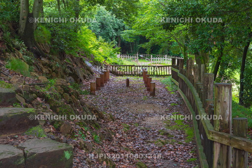 群馬県　金山城跡　馬場下通路