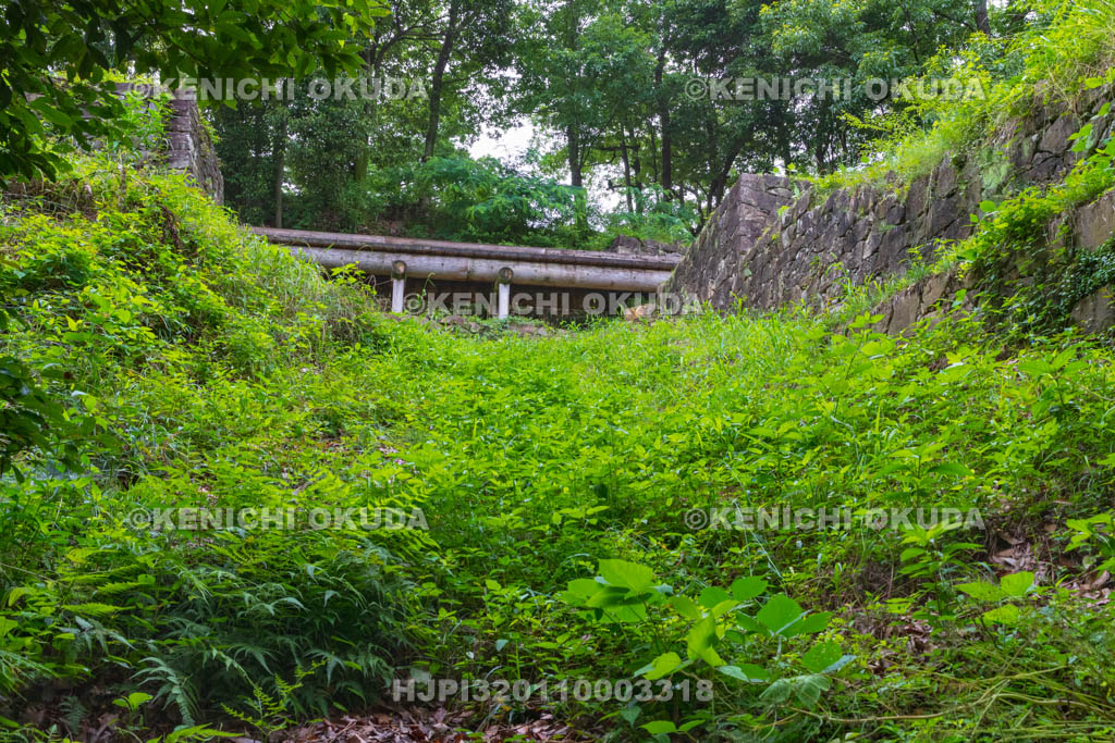 群馬県　金山城跡　竪堀