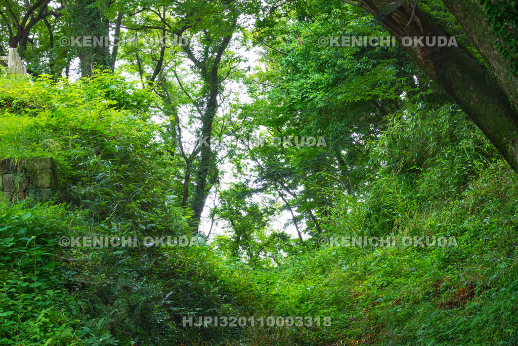 群馬県　金山城跡　大堀切