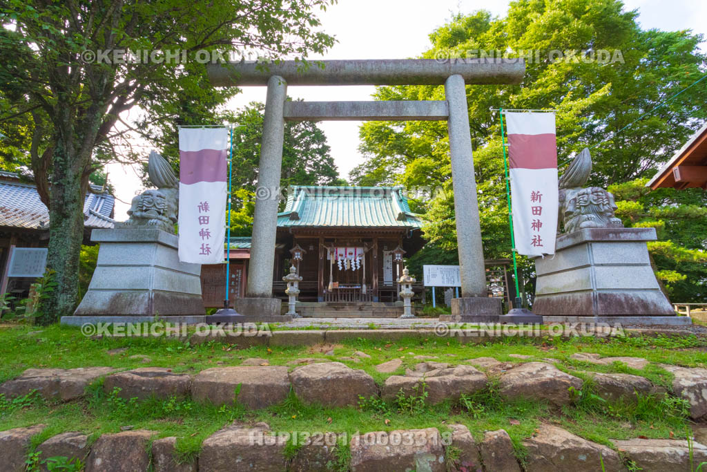 群馬県　金山城跡　本丸　新田神社