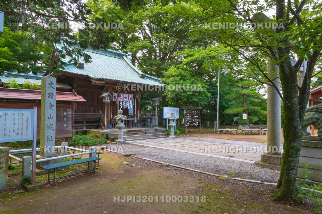群馬県　金山城跡　本丸　新田神社