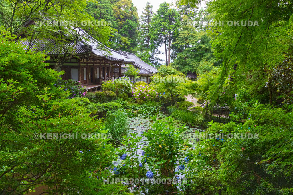 京都府　岩船寺境内　本堂・阿字池ほか