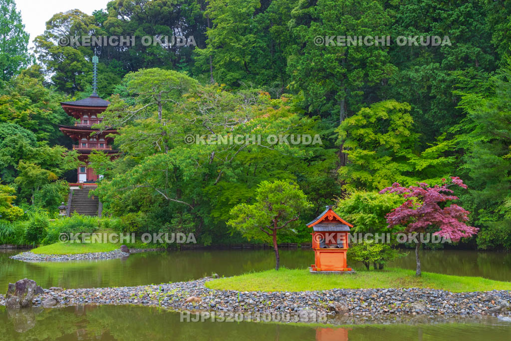 京都府 浄瑠璃寺 庭園と三重塔