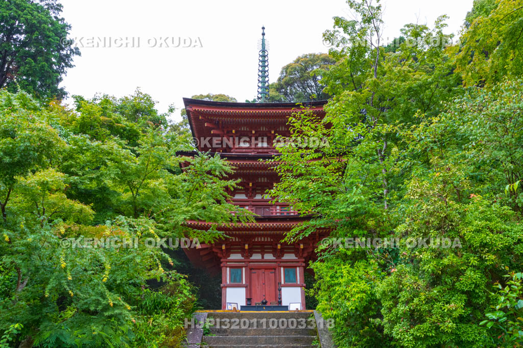 京都府 浄瑠璃寺 三重塔