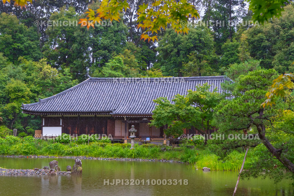 京都府 浄瑠璃寺 庭園と本堂