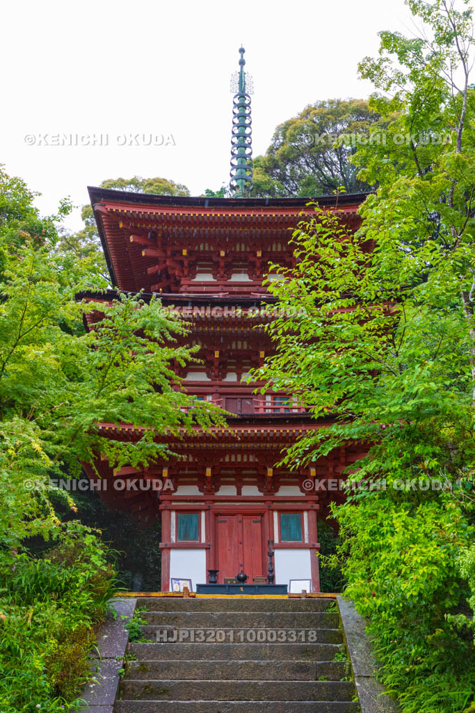 京都府 浄瑠璃寺 三重塔