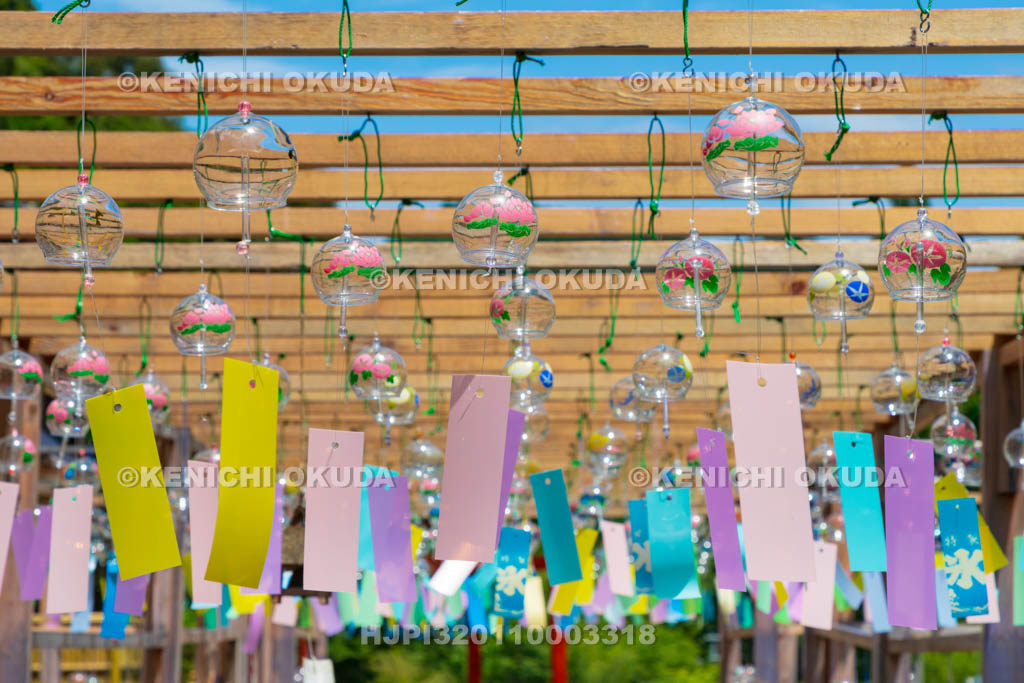 京都府　綾部　東光院　綾部あじさい風鈴祭り