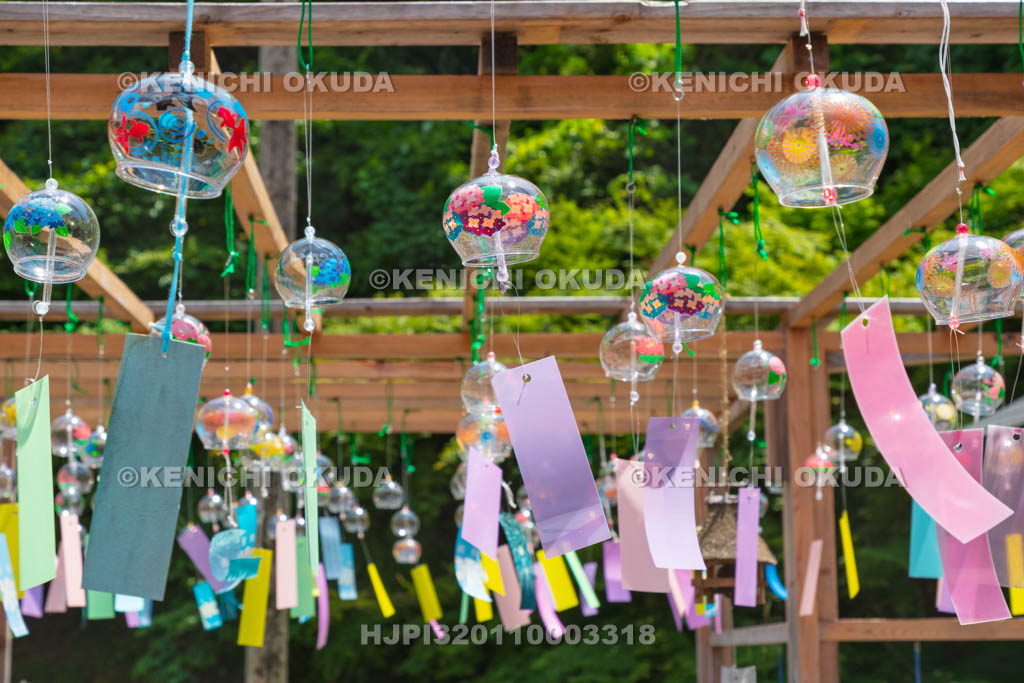 京都府　綾部　東光院　綾部あじさい風鈴祭り