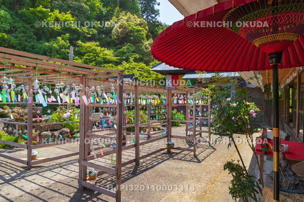 京都府　綾部　東光院　綾部あじさい風鈴祭り