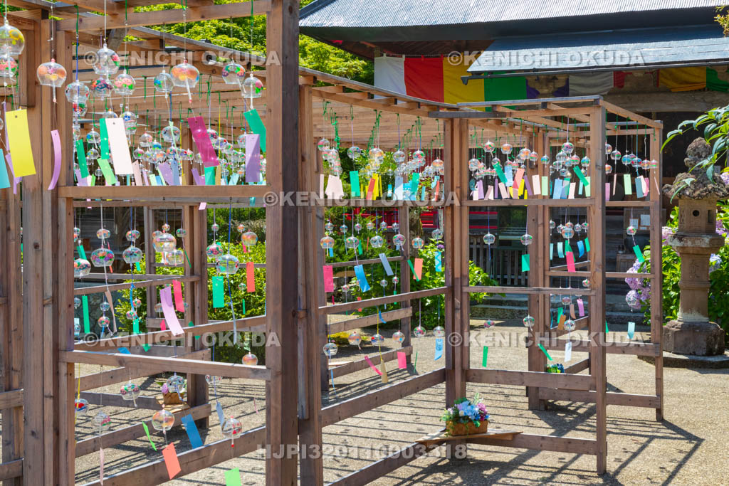 京都府　綾部　東光院　綾部あじさい風鈴祭り