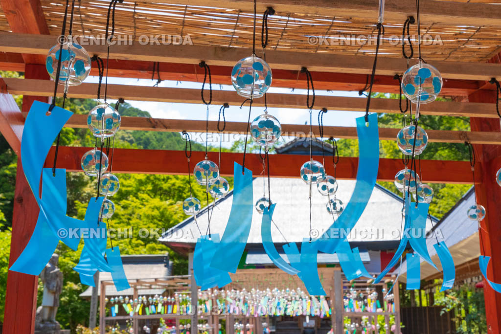 京都府　綾部　東光院　綾部あじさい風鈴祭り