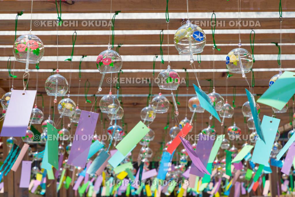 京都府　綾部　東光院　綾部あじさい風鈴祭り