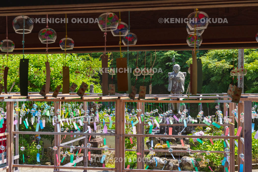 京都府 綾部 東光院 綾部あじさい風鈴祭り