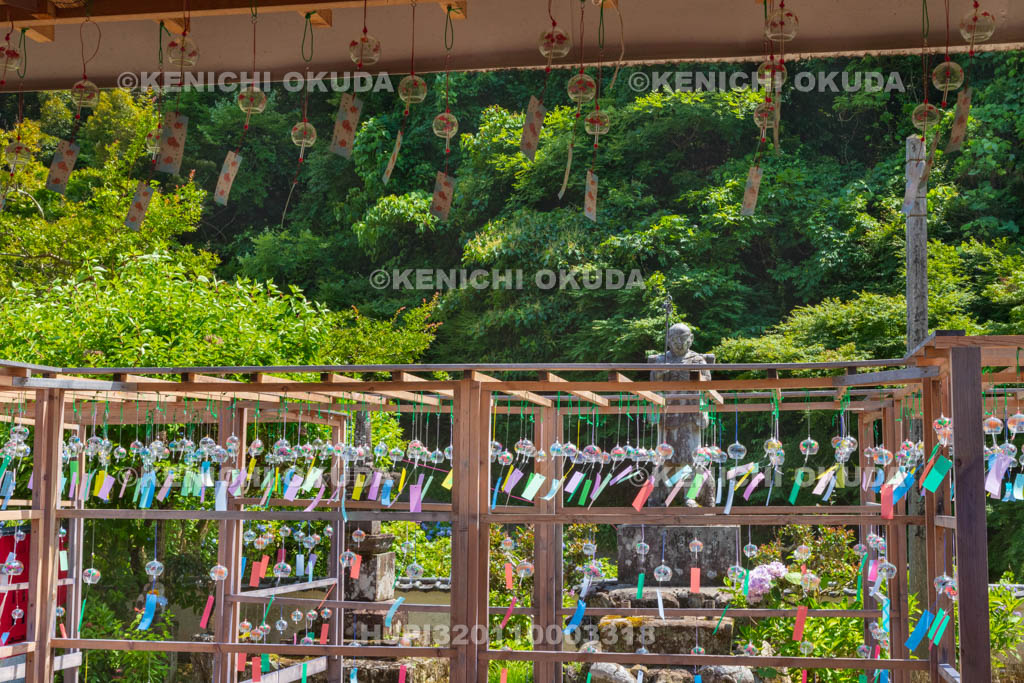 京都府　綾部　東光院　綾部あじさい風鈴祭り