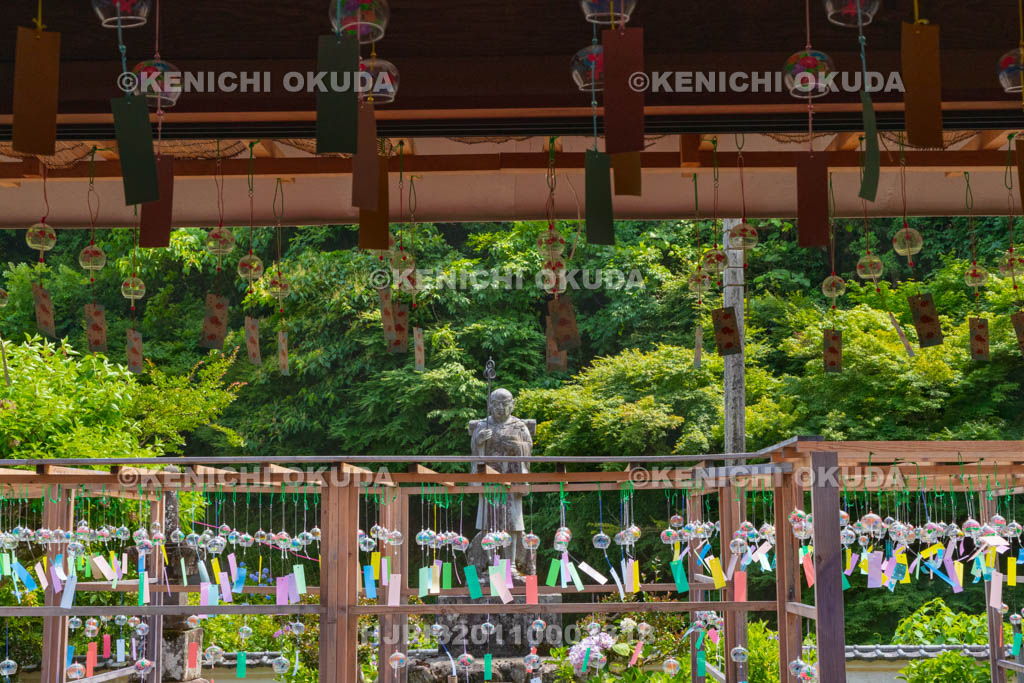 京都府 綾部 東光院 綾部あじさい風鈴祭り