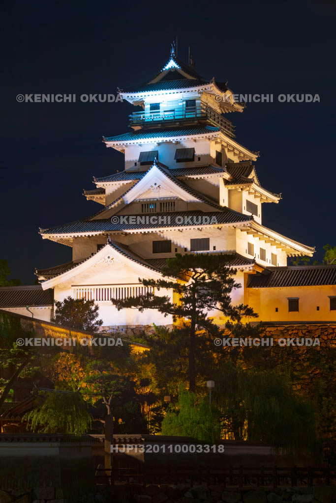 愛媛県　今治城の夜景