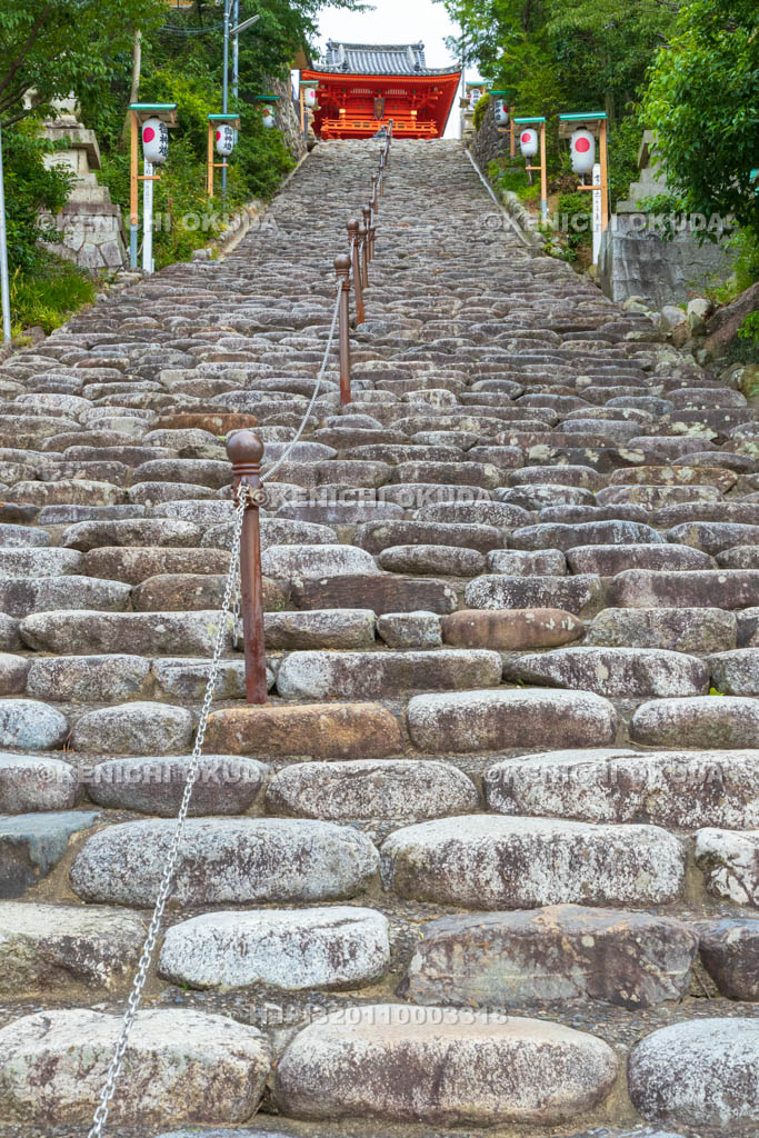 愛媛県　道後温泉街　伊佐爾波神社　参道