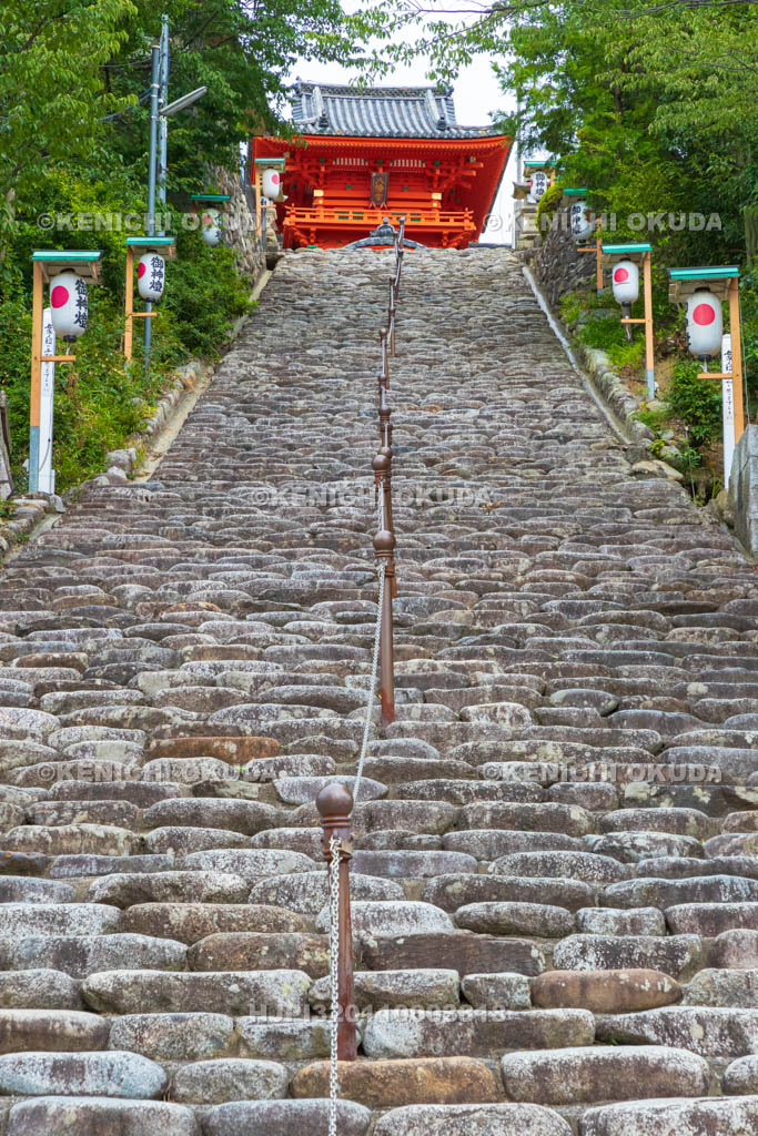 愛媛県　道後温泉街　伊佐爾波神社　参道