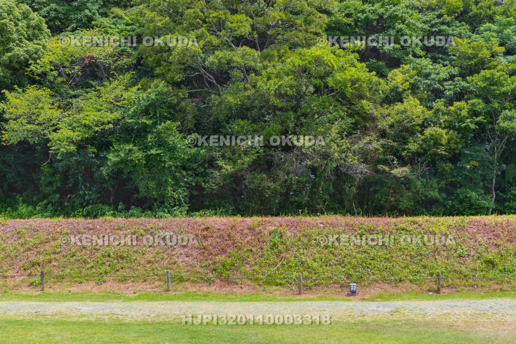 愛媛県　湯築城　内堀土塁