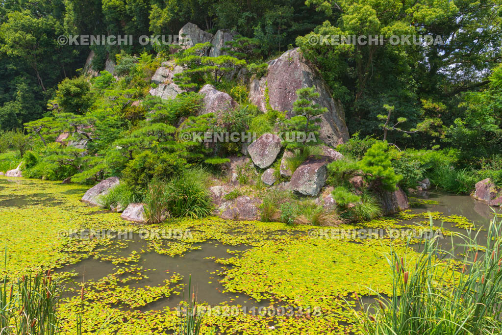 愛媛県　湯築城　内堀
