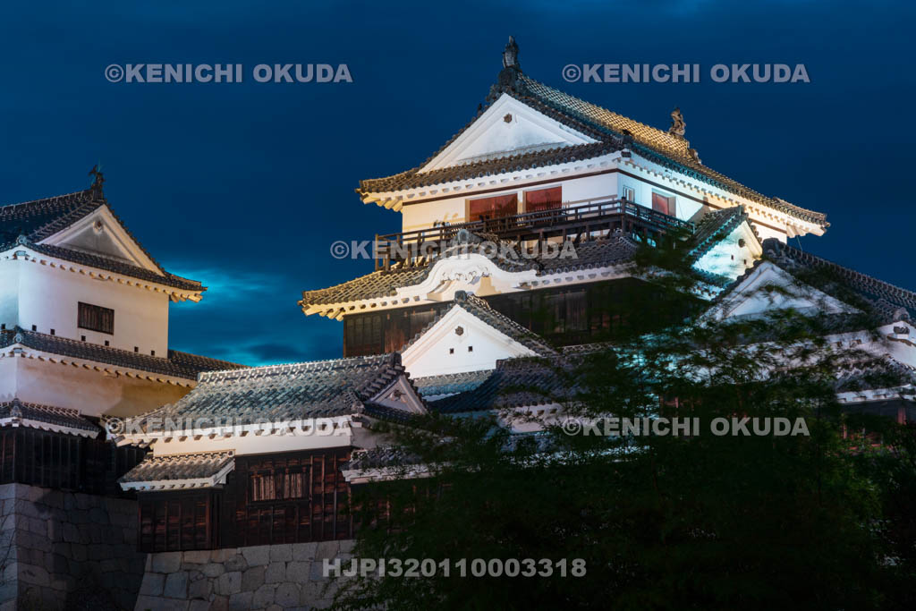 愛媛県　松山城の夜景