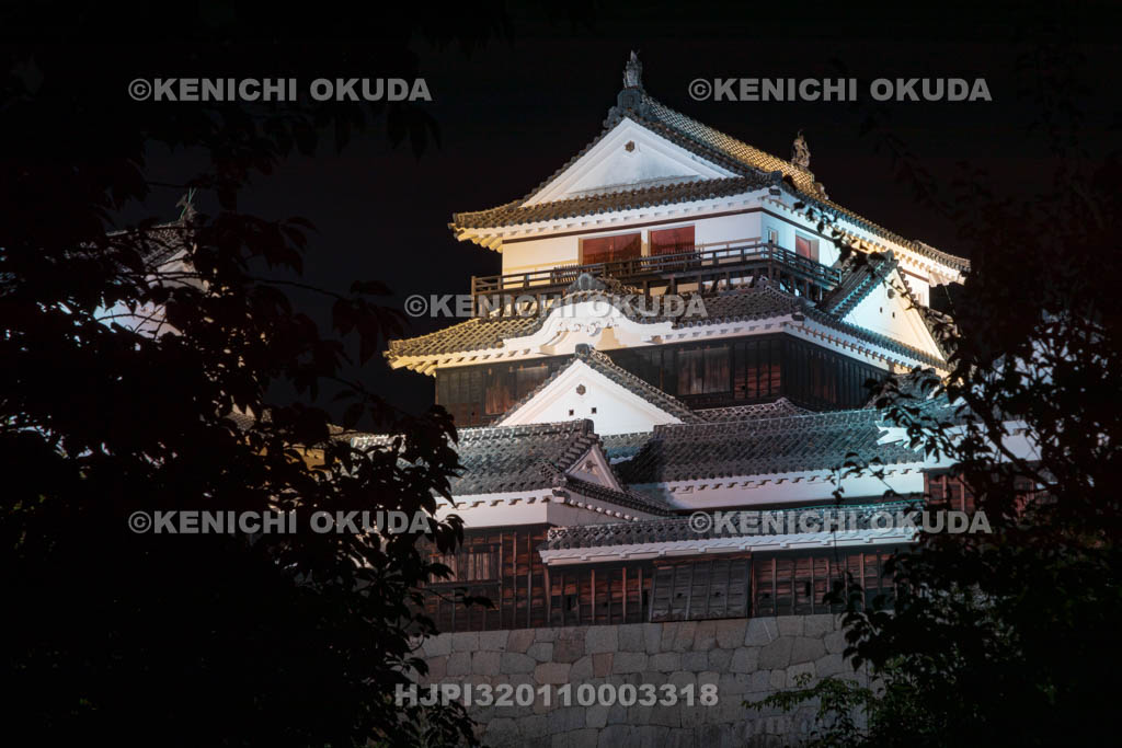 愛媛県　松山城の夜景